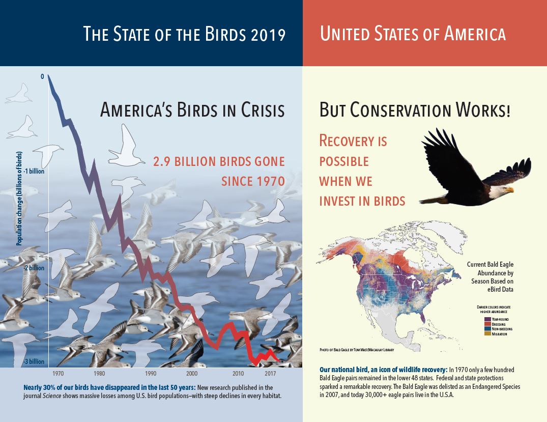 State of the Birds (US)